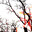 xX_bloodfest_Xx