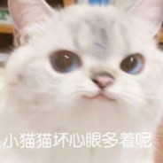 小猫咪能有什么坏心思