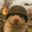 hamster^