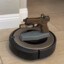 Roomba with a glock