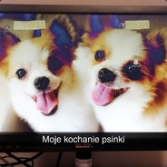 Chrabia Monte Kristo