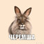 блэк пенсил