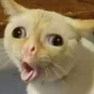 Vittorio