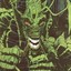 Fin Fang Foom