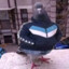 ᴰᵉˢᵖᵉˡᵒᵛᵉʳ