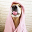 andzie^^