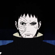 鲨鱼回到了海底