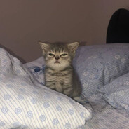 3bIT - steam id 76561199827835397