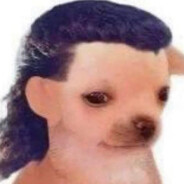 cheeseburger's avatar