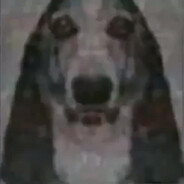 Rowny Gosc's avatar