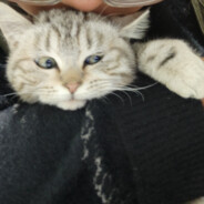 这是我最后的波稳了76561