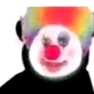 练习时长两年半