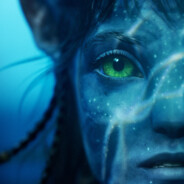 In Voller blüte des Leb