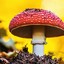 mushroomking