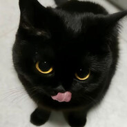 meow