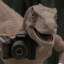 Photography Raptor