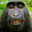 monke's avatar