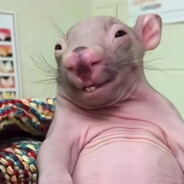 超绝奶音无情后妈