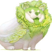 万里山河皆为过客