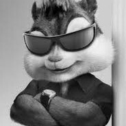 v3rZZZ1la avatar