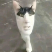 buklak - steam id 76561198874871233