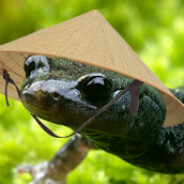 rpdrafter