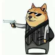 以色列爆破手赫尔左格