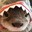 'OTTER[ǝqnɔ]