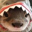 &#039;OTTER[ǝqnɔ]