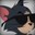 Cav avatar