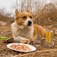 只因你太美~坤坤