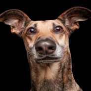 star_fall - steam id 76561199799233100