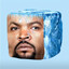 ice cube (literally)