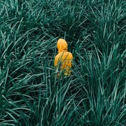 章鱼章鱼大章鱼