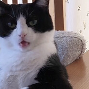 господи в рот