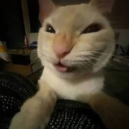 𝐏𝐍𝐎𝐗𝐢