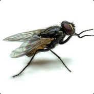 WALTER - steam id 76561197960483202