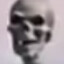 Skeleton
