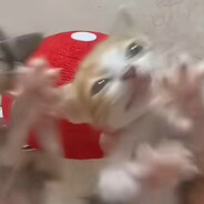 七星还我少女音