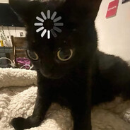 loduwka Steam avatar