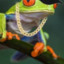 Lil Frog
