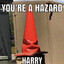 The Sorting Cone