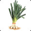 LeeK