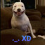 im3im3