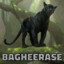 BagheeraSE