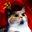 Gato Lenin