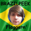 Flaggern&#039;
