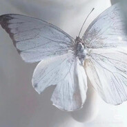 可否许我再少年