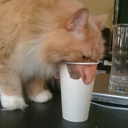 juan.gonzalez2004@hotmail.com