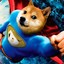 SuperDoge